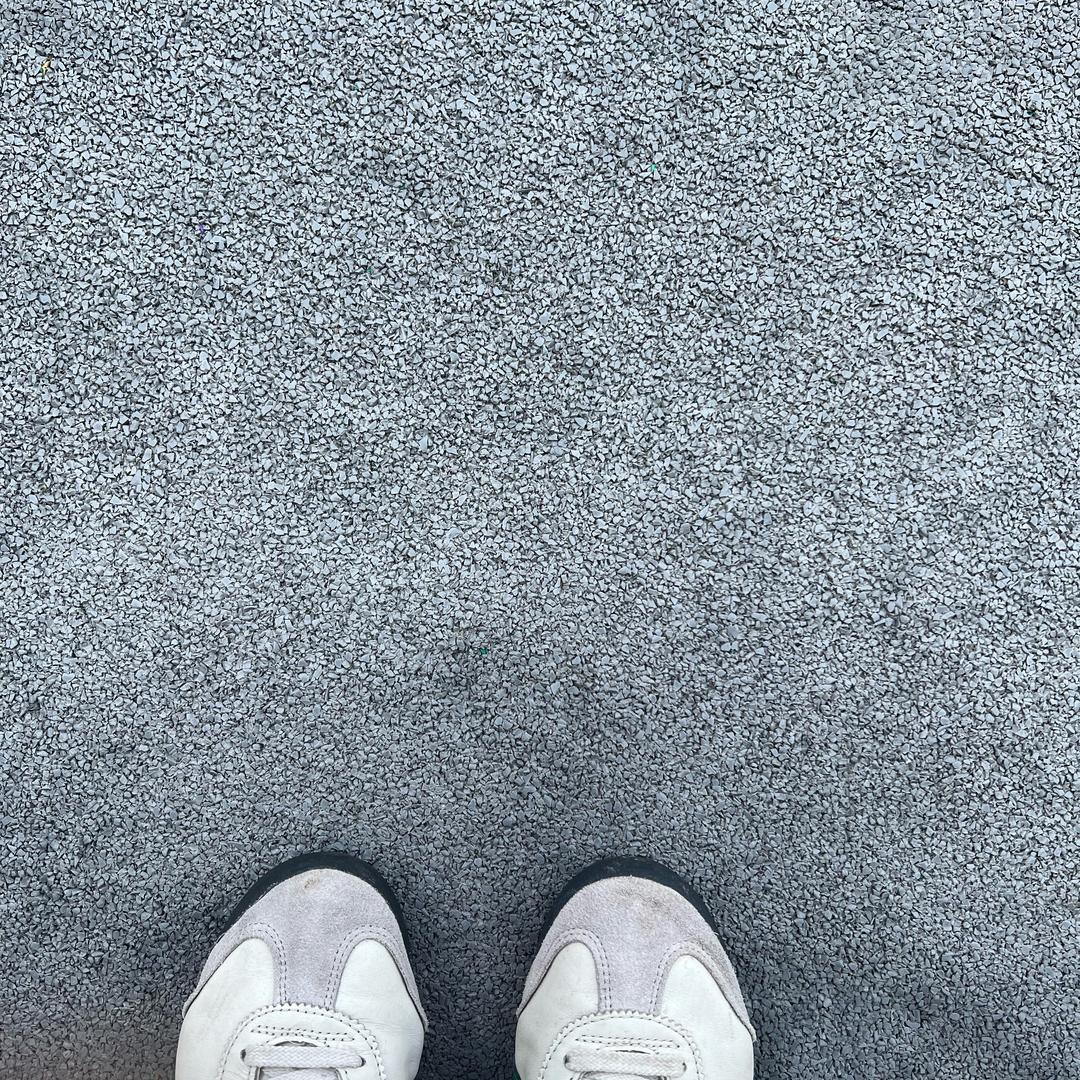 仙人掌🌵