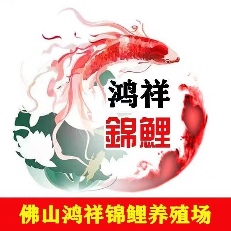 佛山鸿祥锦鲤养殖场