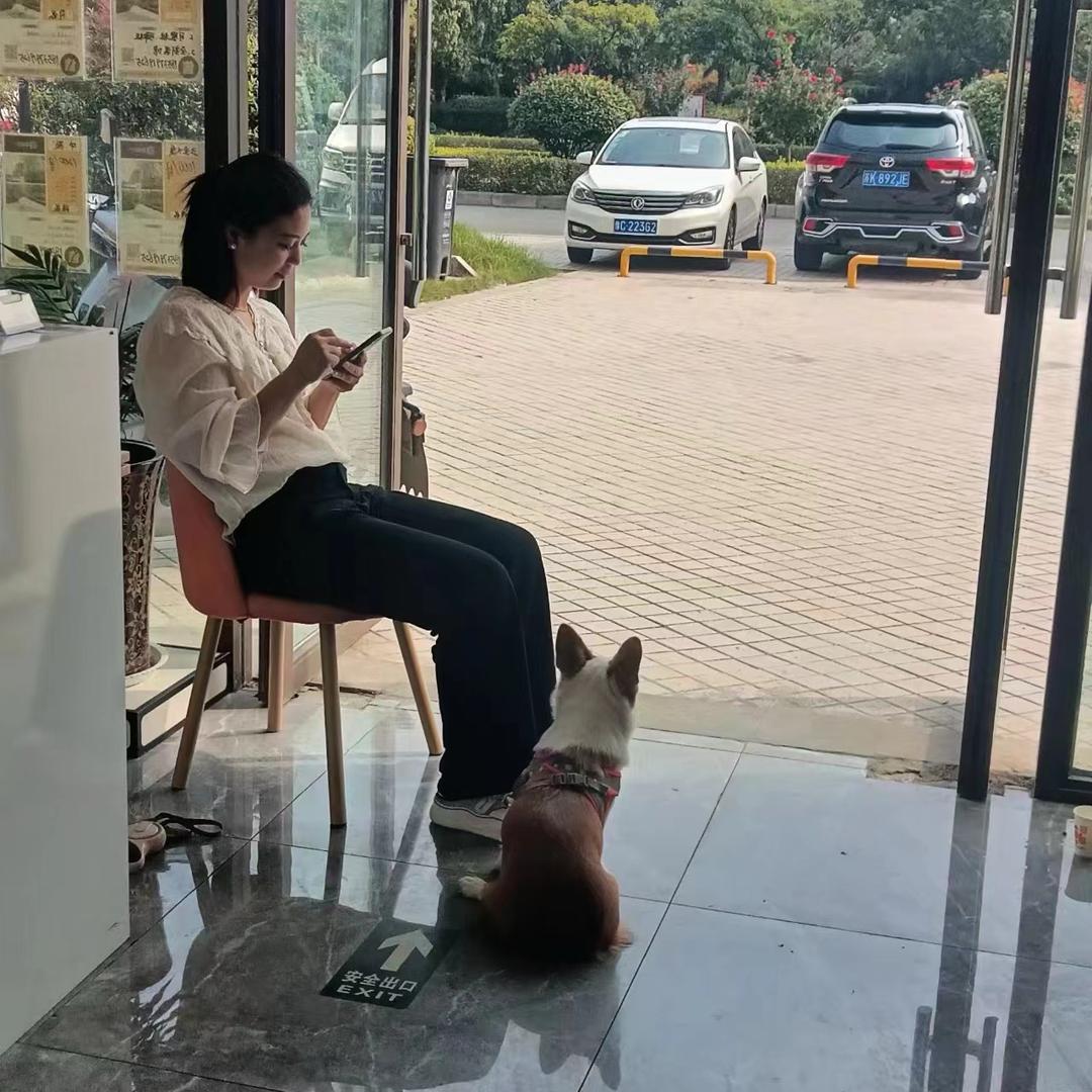 懿皇🌸菲菲