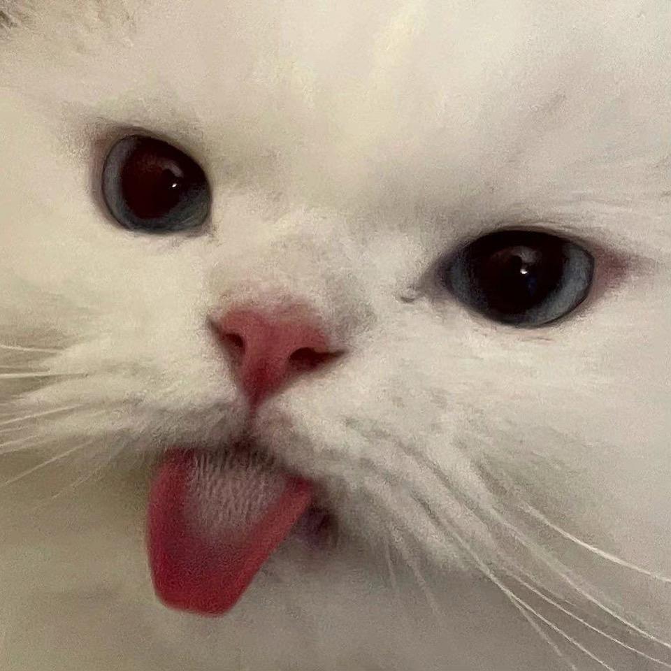 柒柒子（健身中）