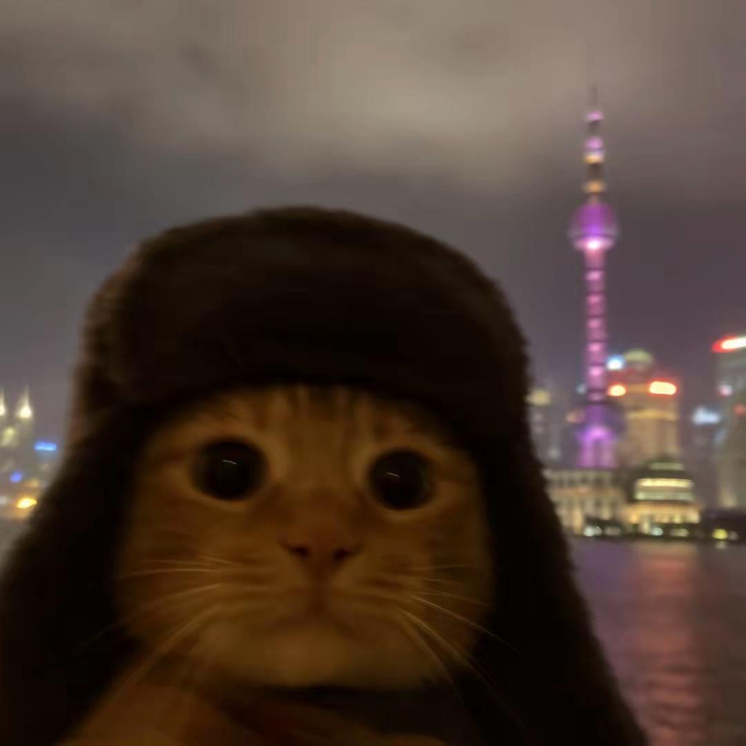 鱼腩不为难