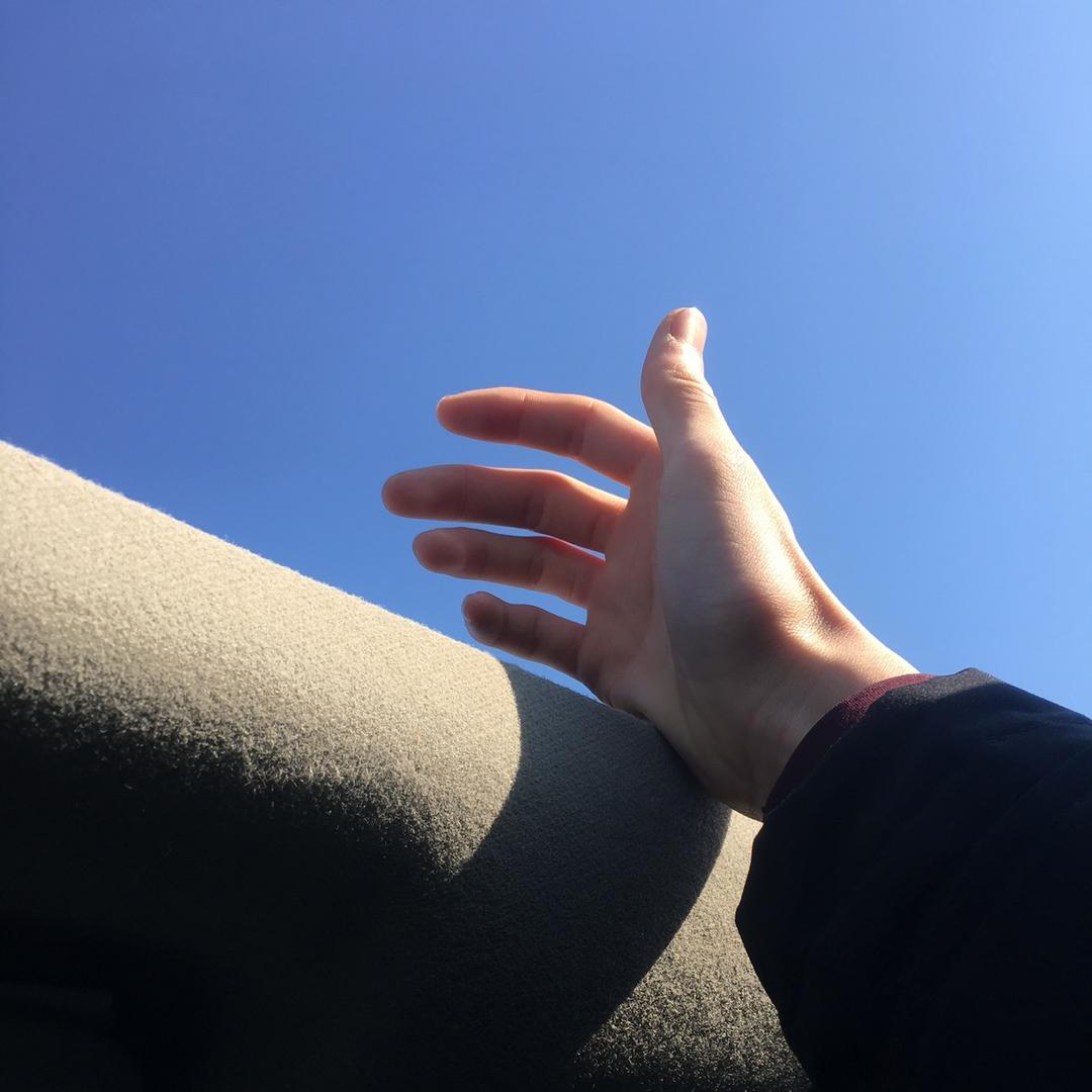 竹林听雨