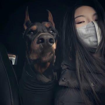 胡婷.