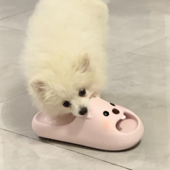 吃饱饭