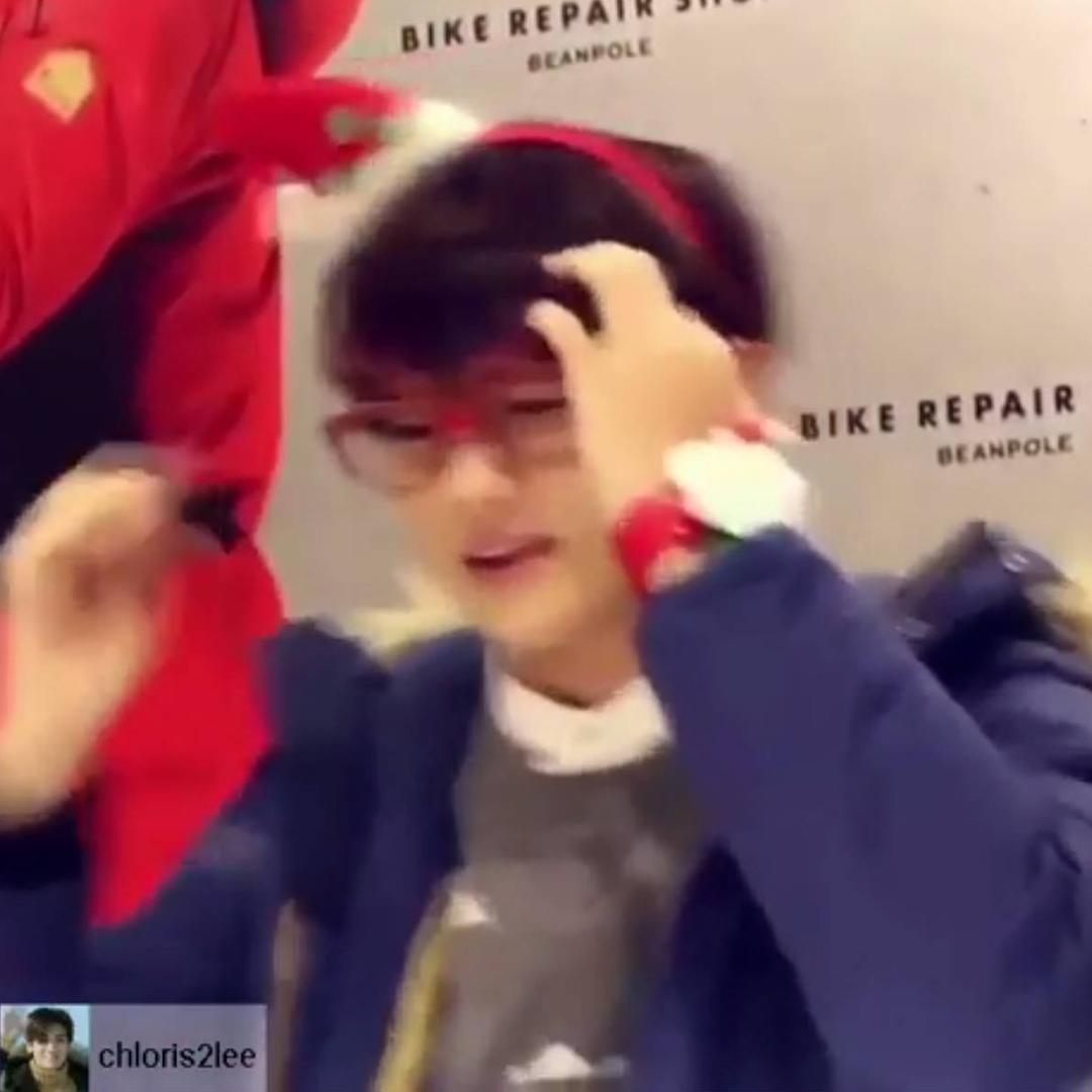 已读森林