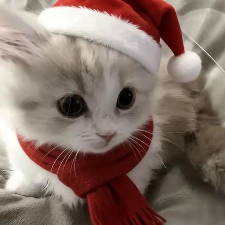 喝ᴬᴰ钙长不高🧸