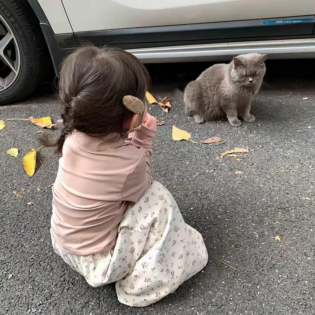 🐾