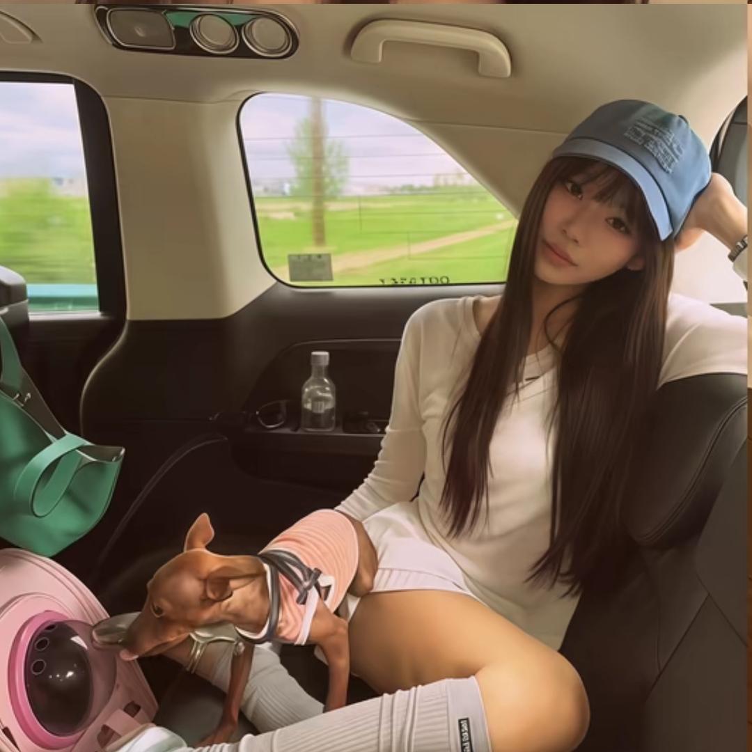 渝十二烧烤江湖菜大排档(勉县店)官方号