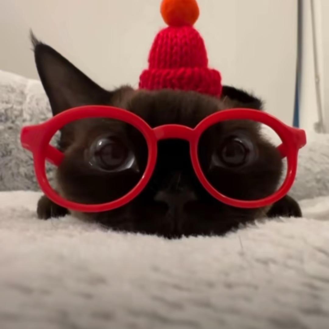 青橘♡头像