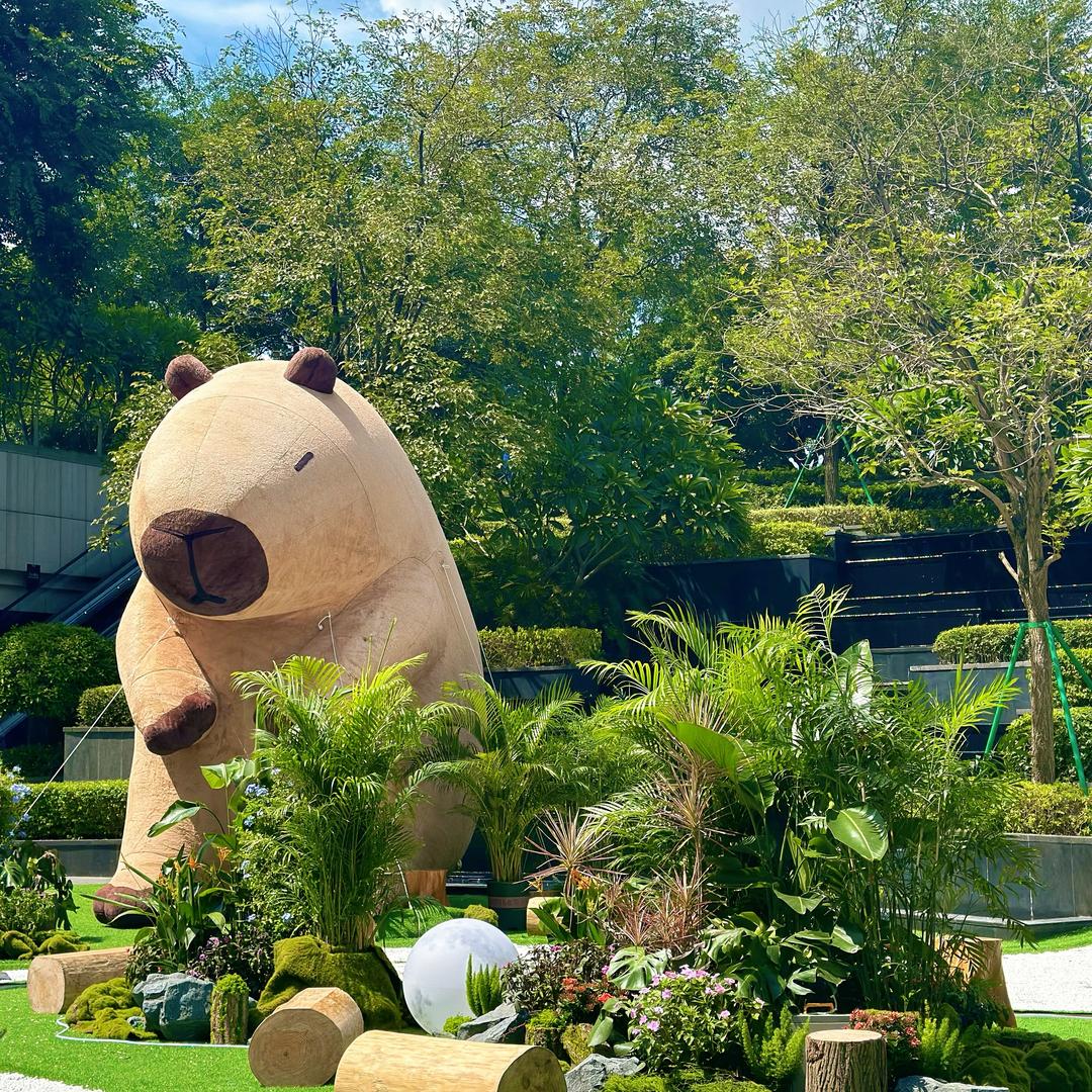 酱酱丽玛（接打印）