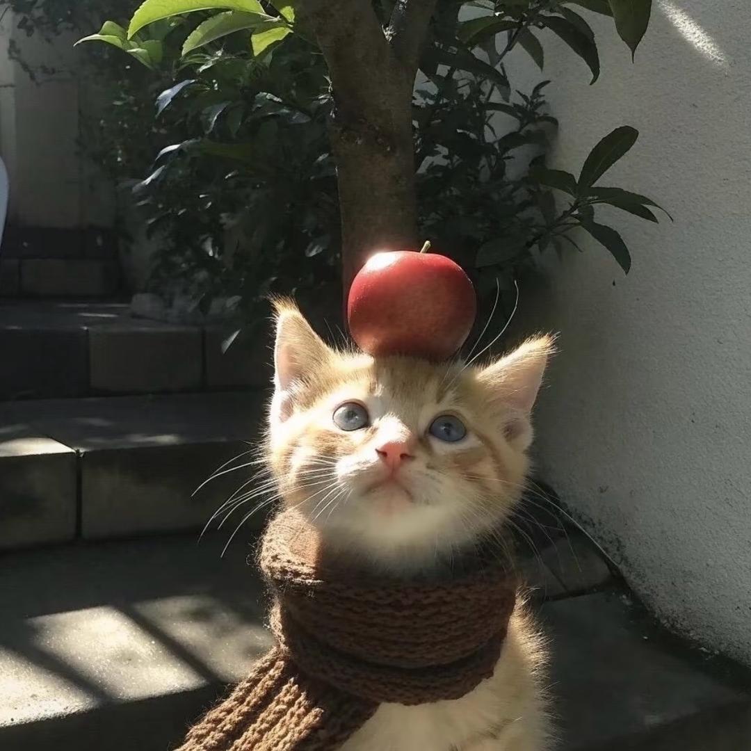 February