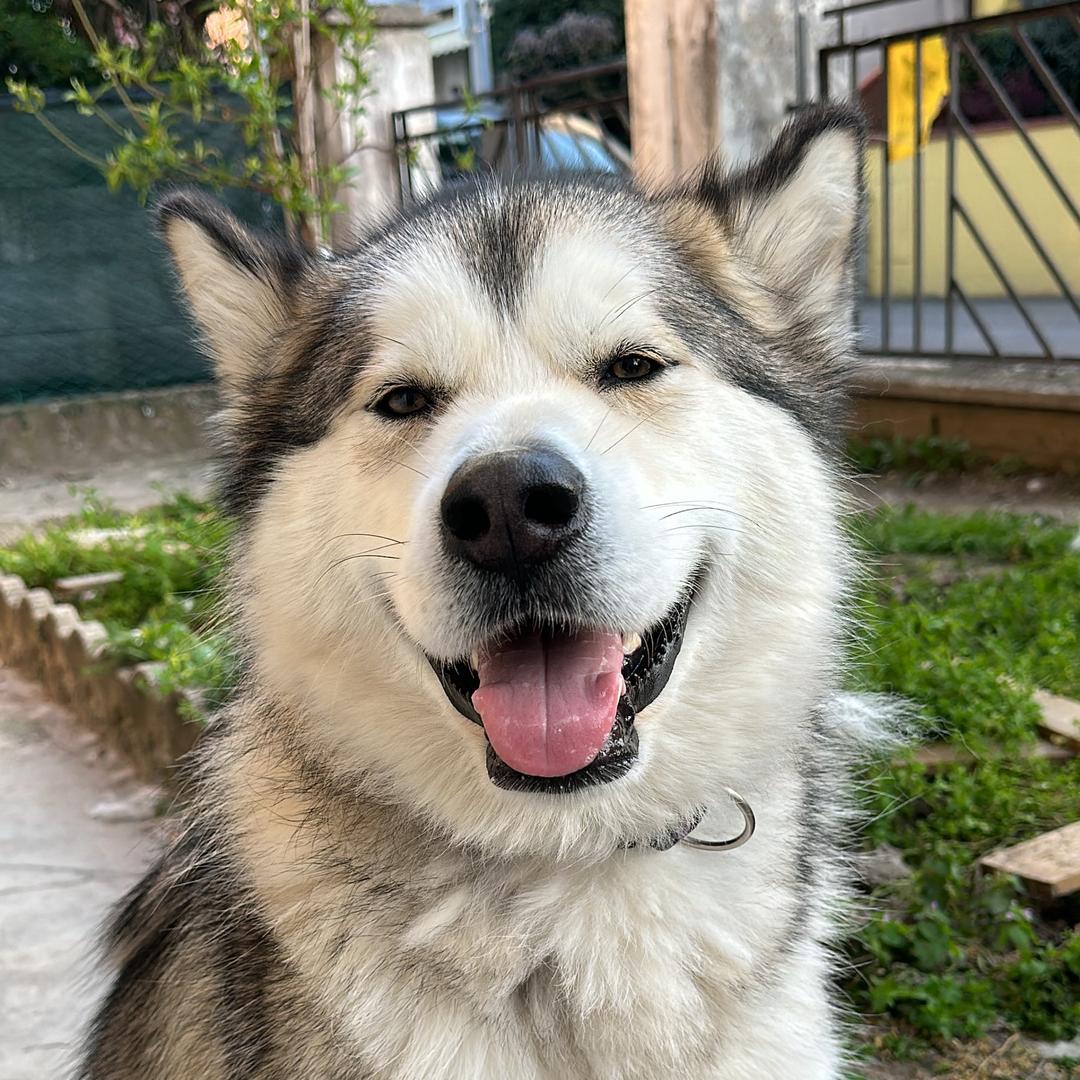 东莞市栗赖科技有限公司