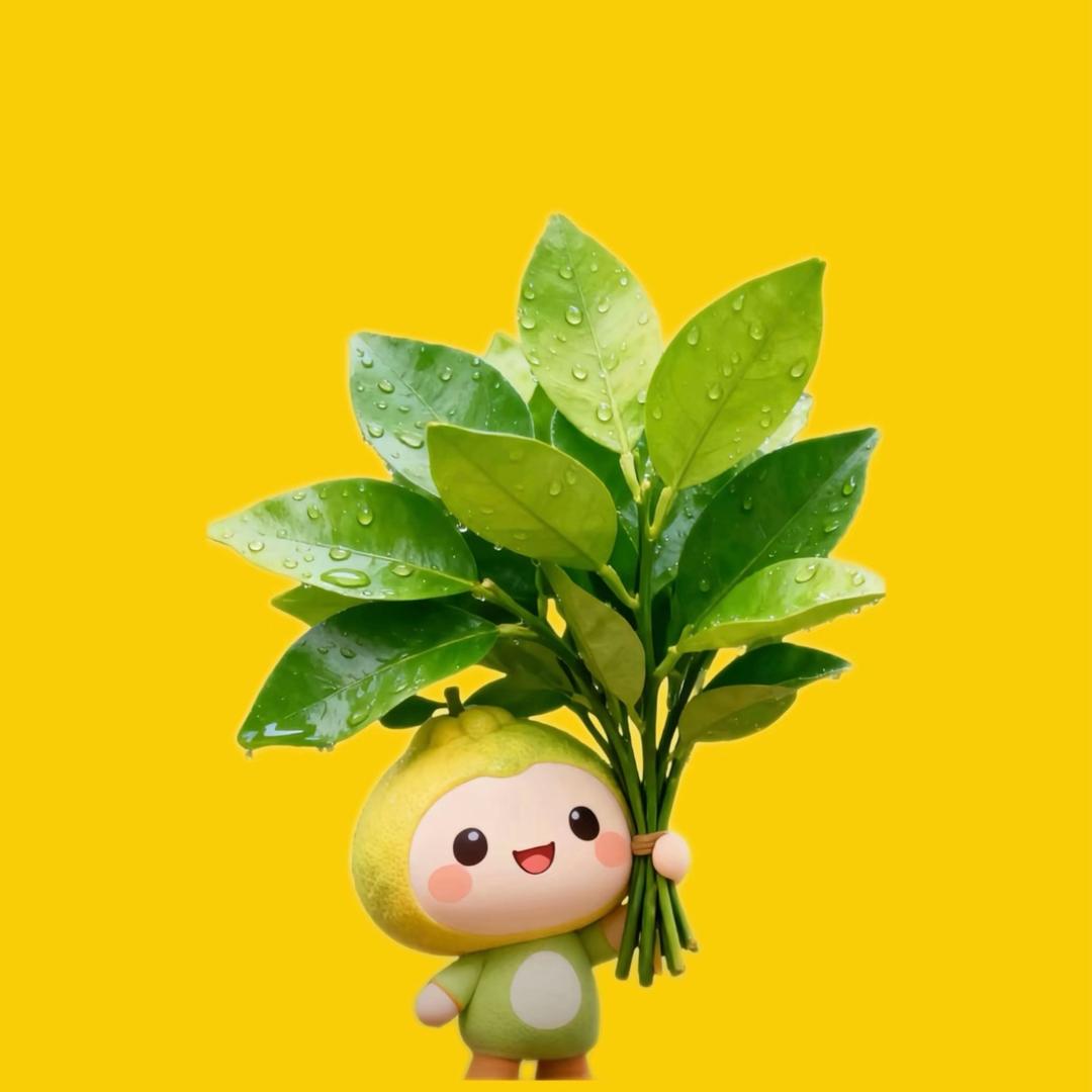 童童老师🥳