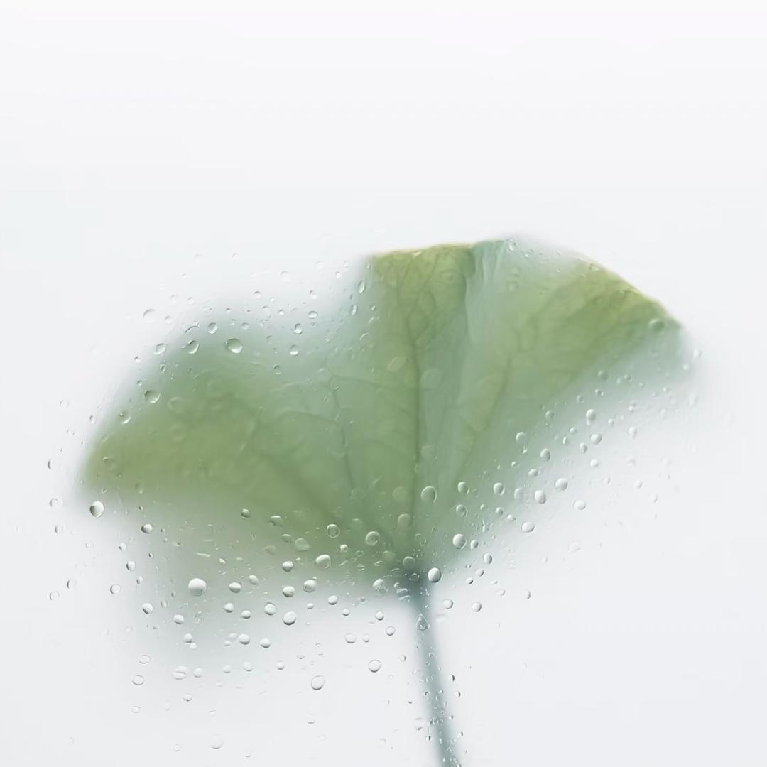 。