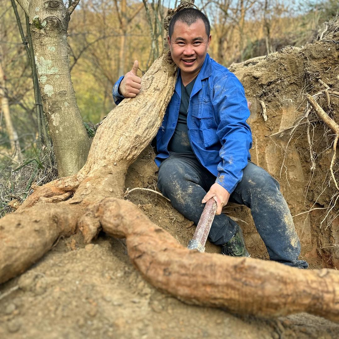 傍山栖苑温泉民宿-温汤镇山货哥