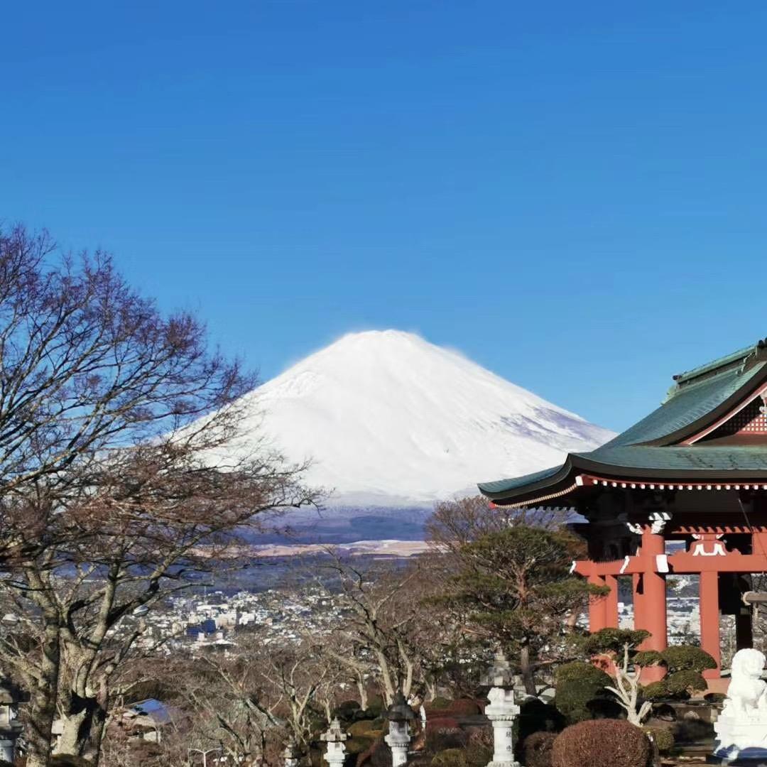 谁主沉浮