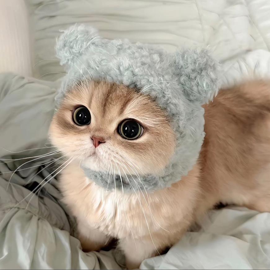 阿也🐰