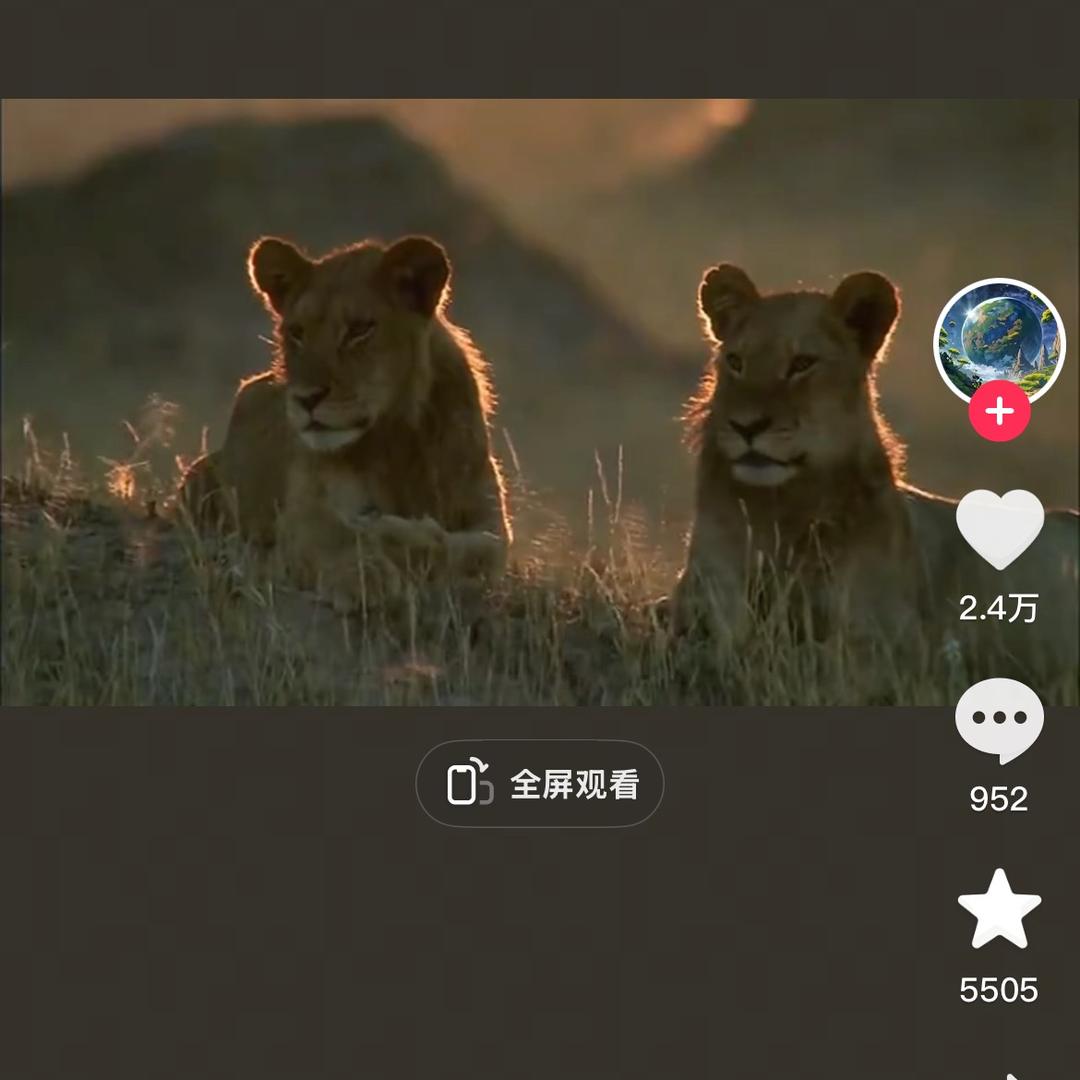 诗禾禾📷@抖音