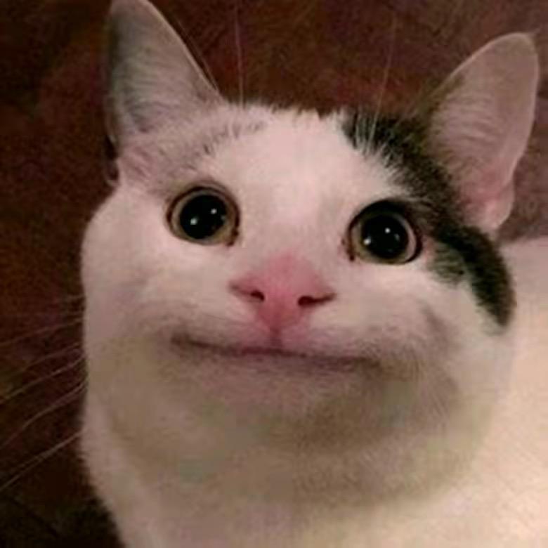红烧大黄鱼
