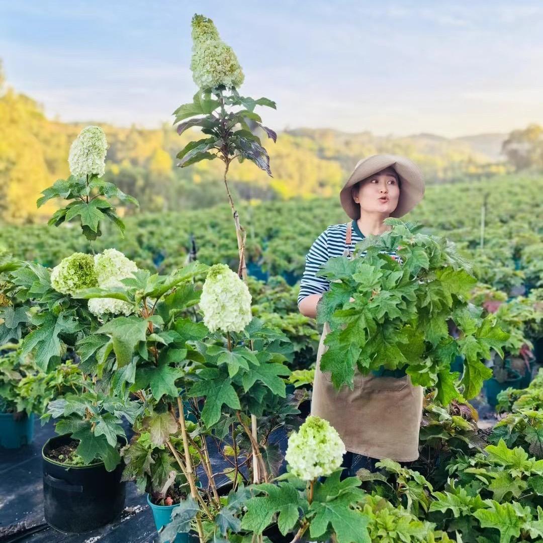 花花们的花儿