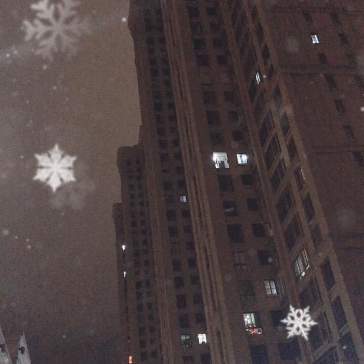 林一高泽