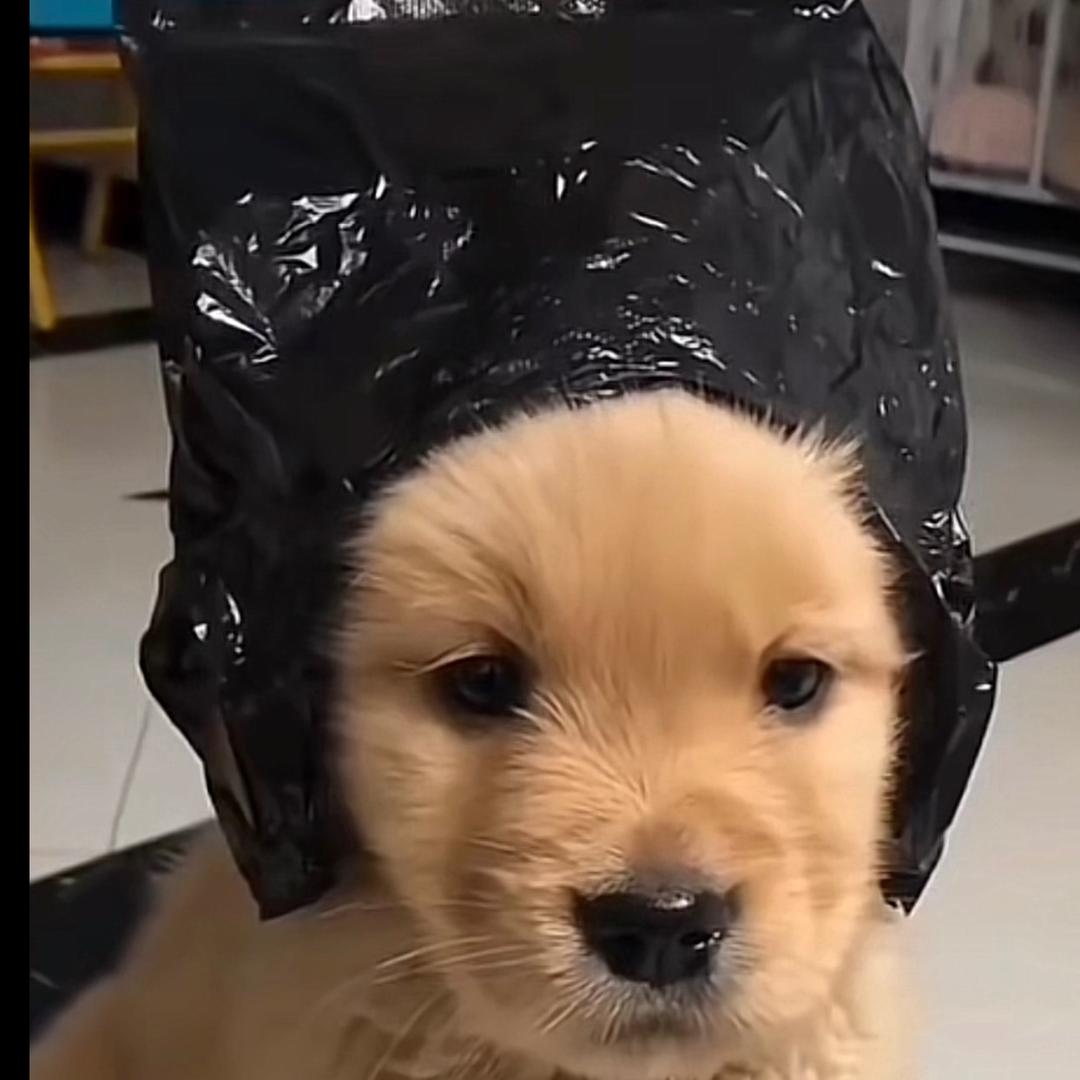 略略略。
