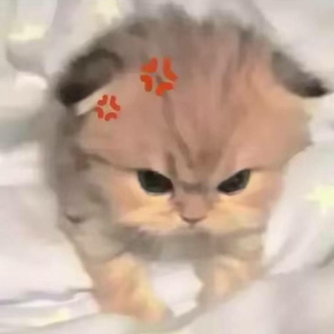 兔崽MM.