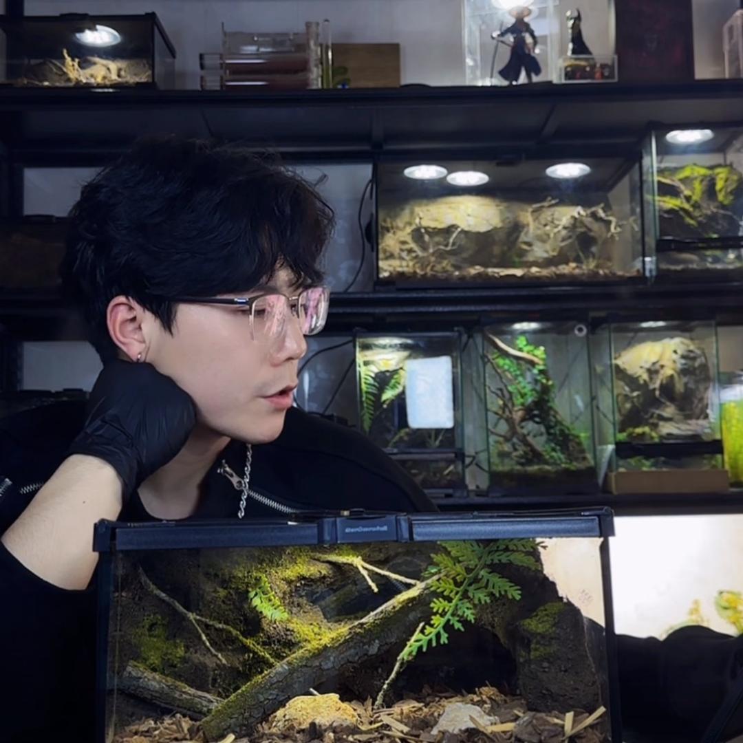 森眸景观