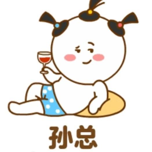 孙某人