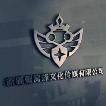 新疆壹窝蜂文化传媒有限公司（MCN招人