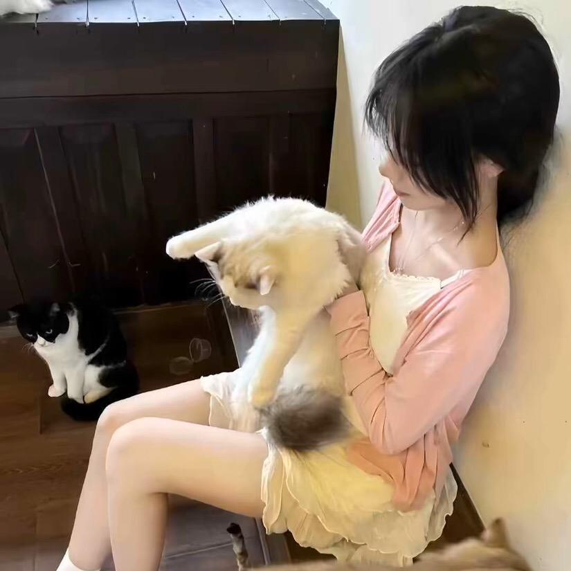 詞