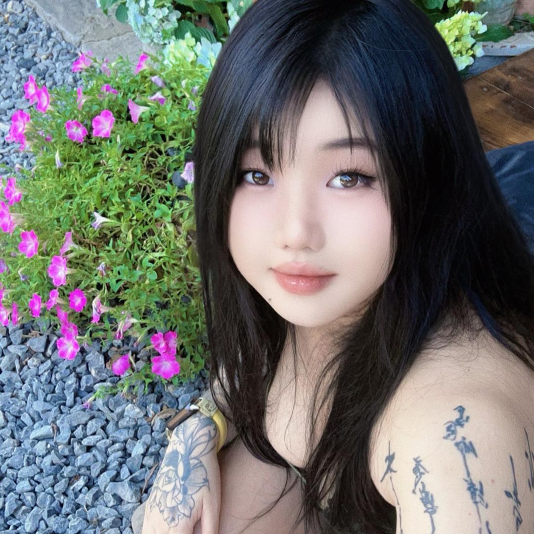 小狗睡个好觉