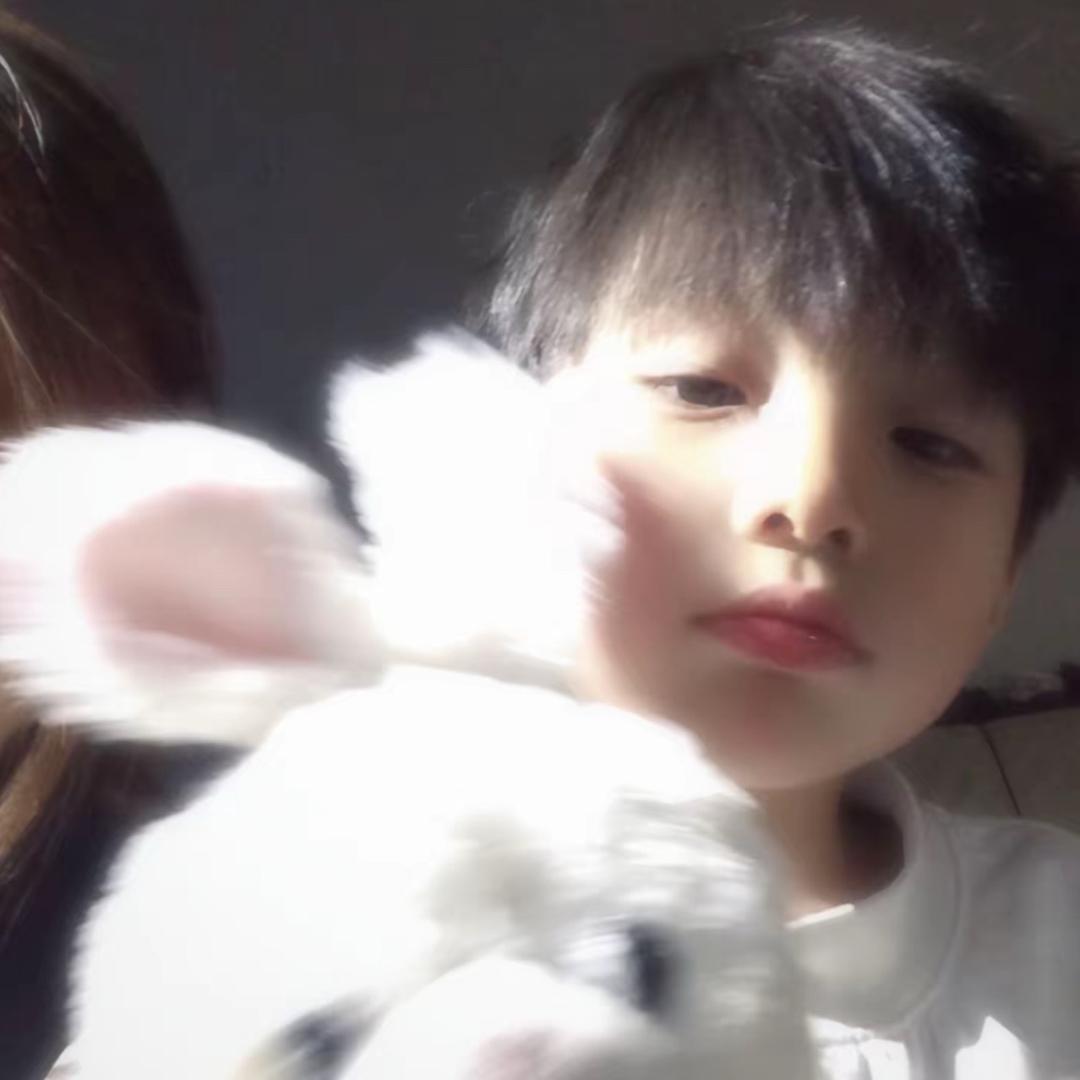 ㅤ͏͏͏͏ 孤独的美食家