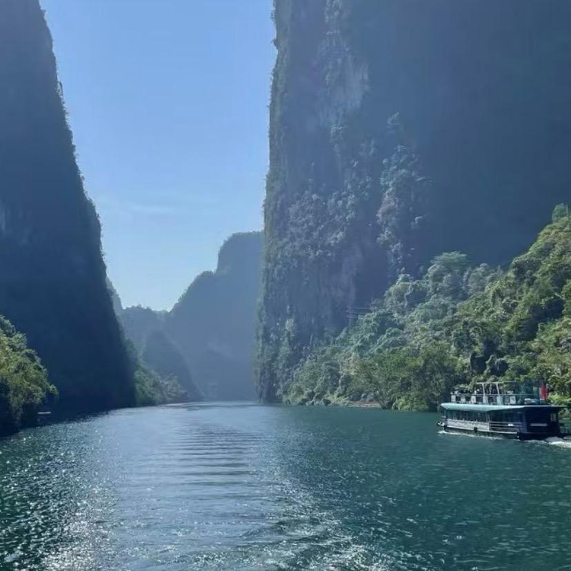 杨杨得意😎