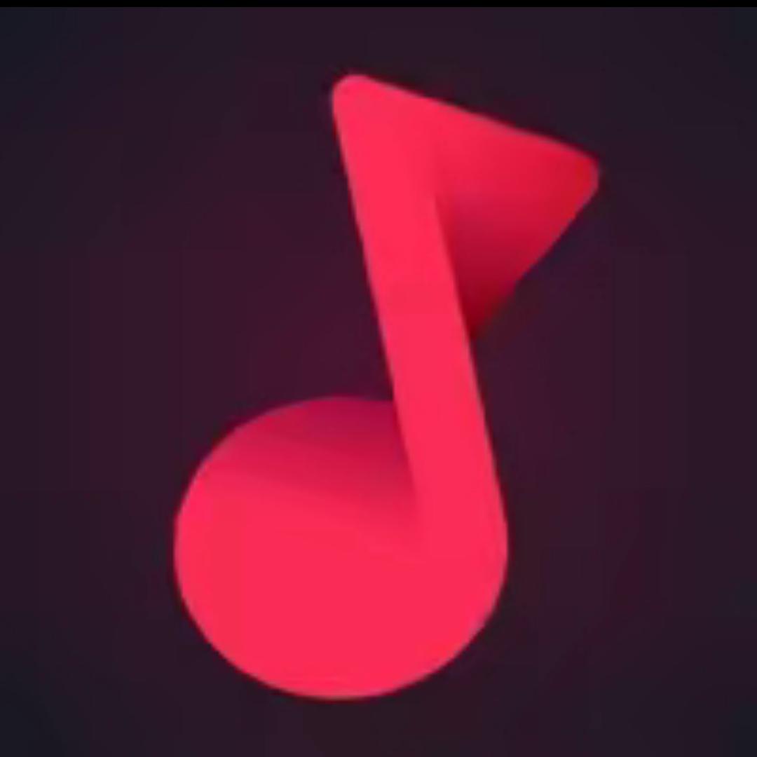 6287495619748