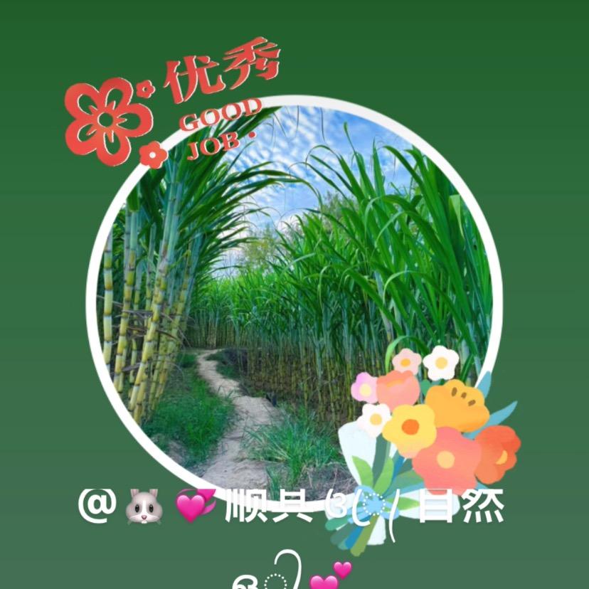 🐰💞顺其꧔ꦿ᭄ 自然ഒ᭄💕