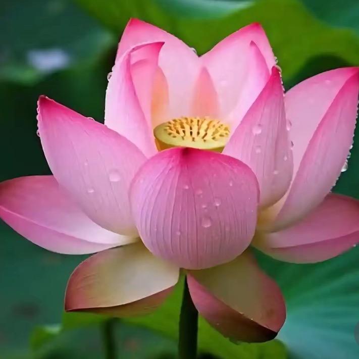 健康快乐