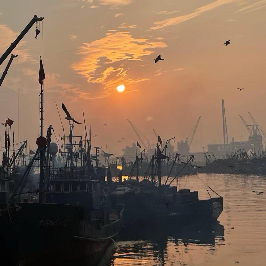 小李海鲜的橱窗