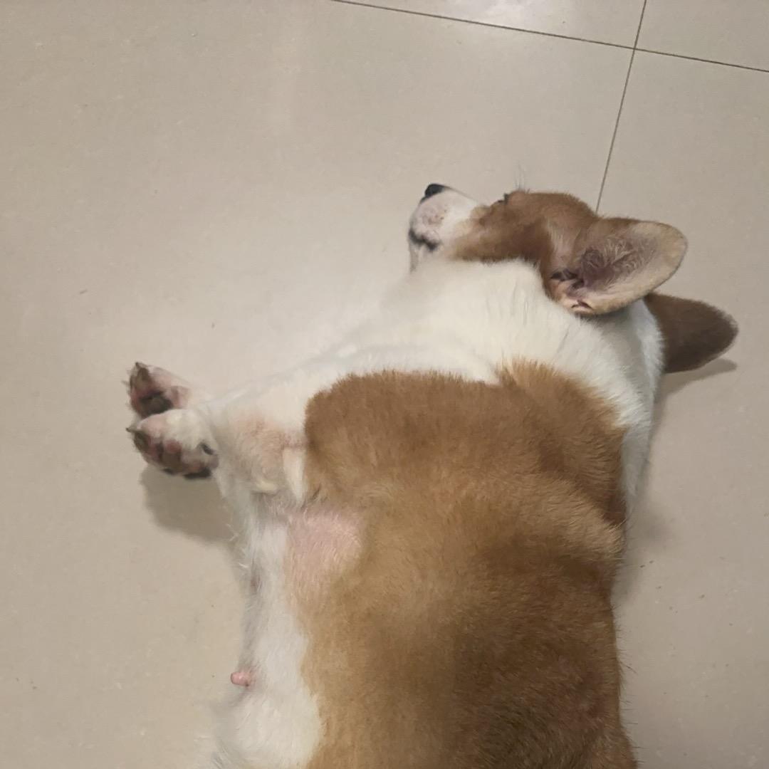 O泡果汁～(好运中奖版）