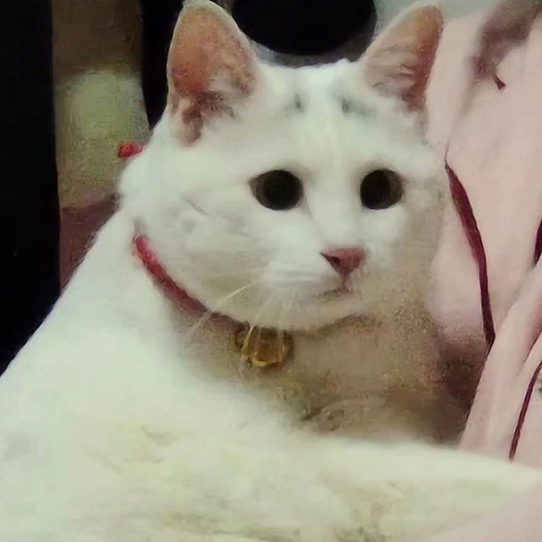 想看一辈子南通