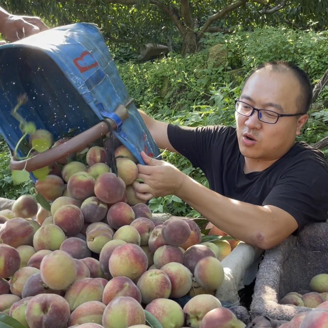 辉哥鲜果