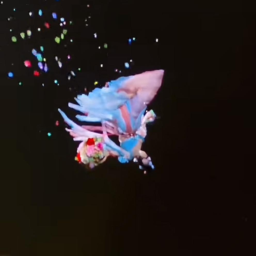 HXM2D2
