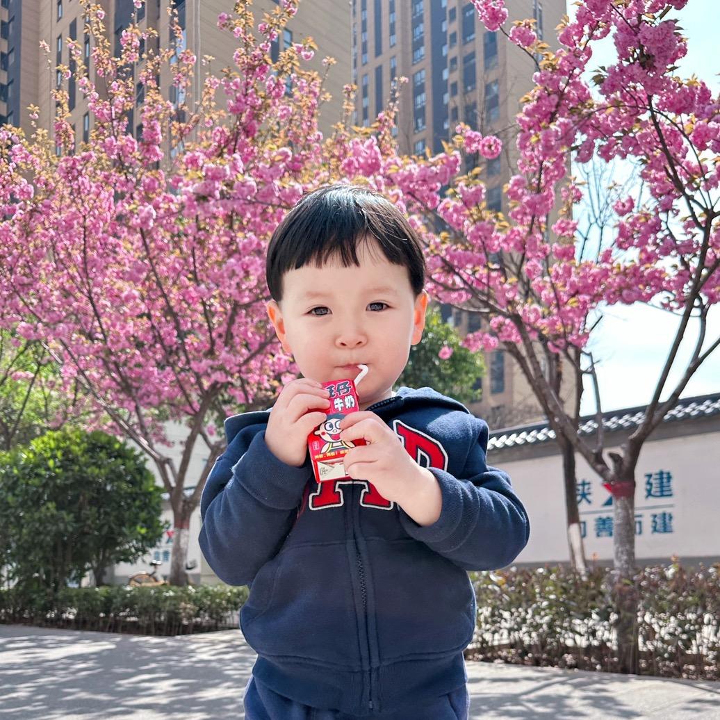 小胖@