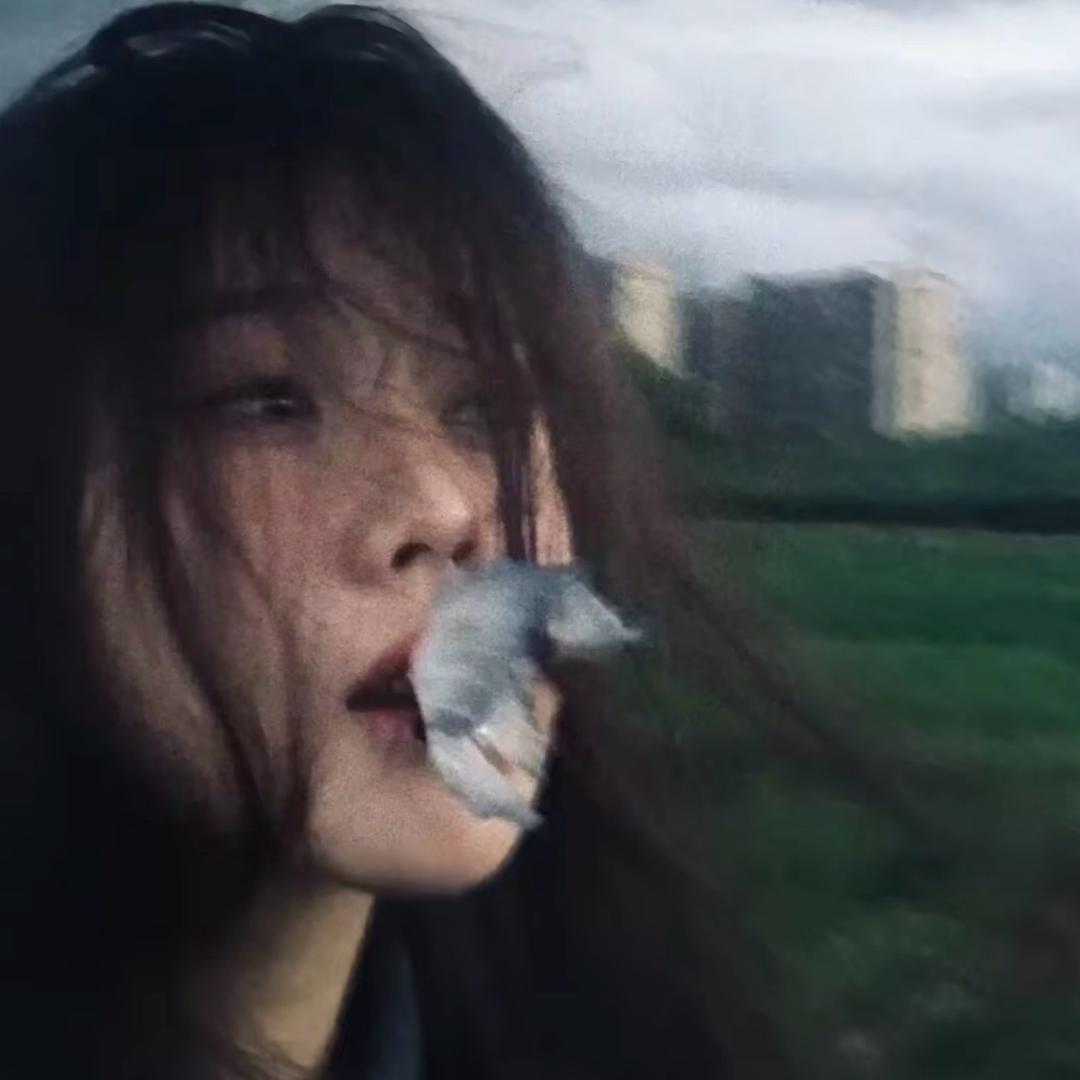 洛枳