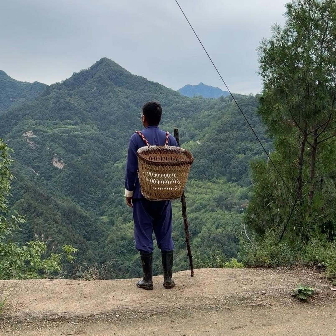 终南山下