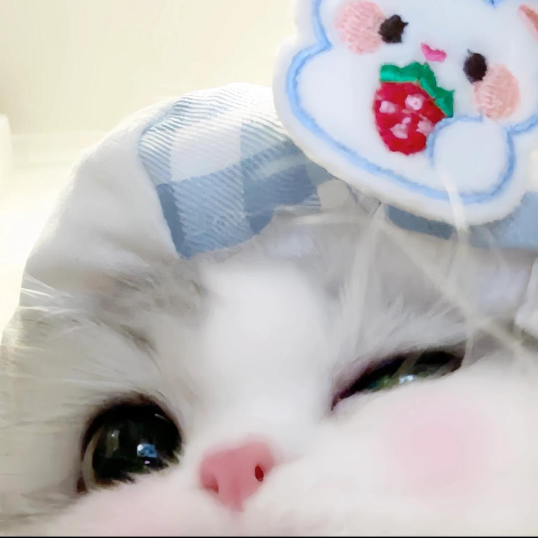 贝贝（认真版）