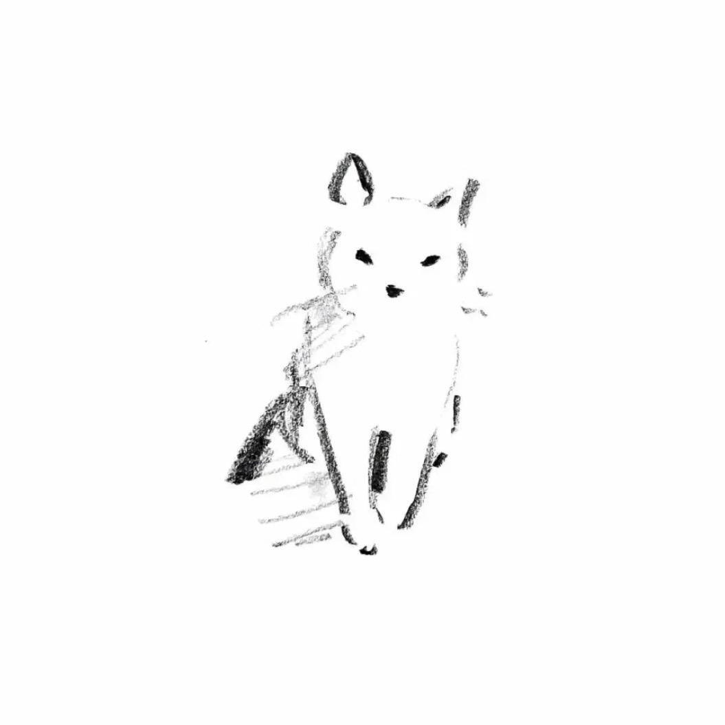 RrrRrlllr