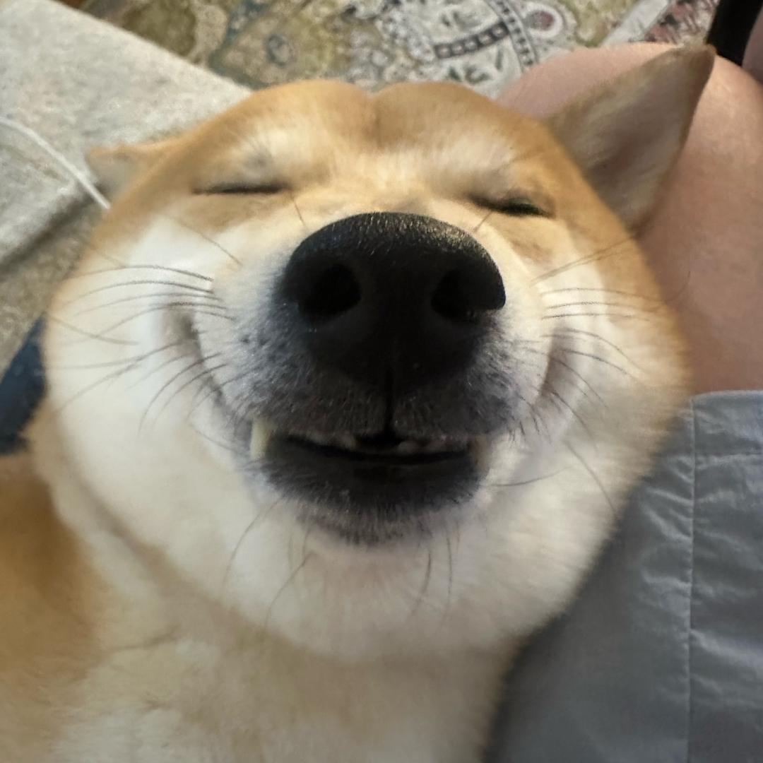 库比kubi