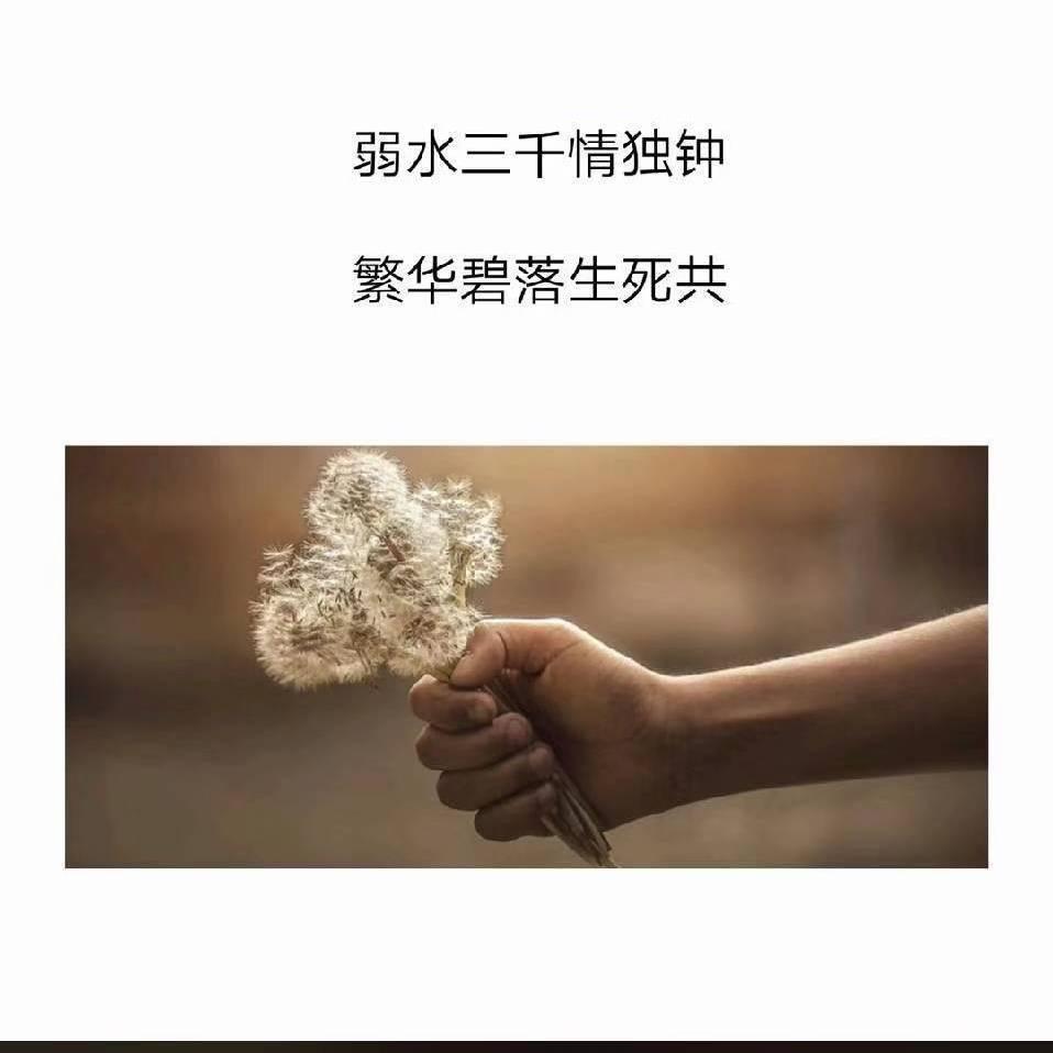 繁星之下终不悔