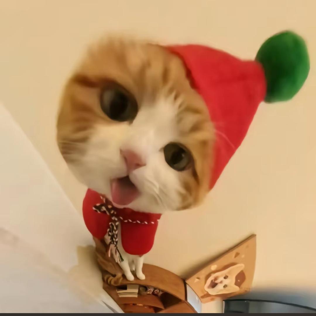 .yyy.